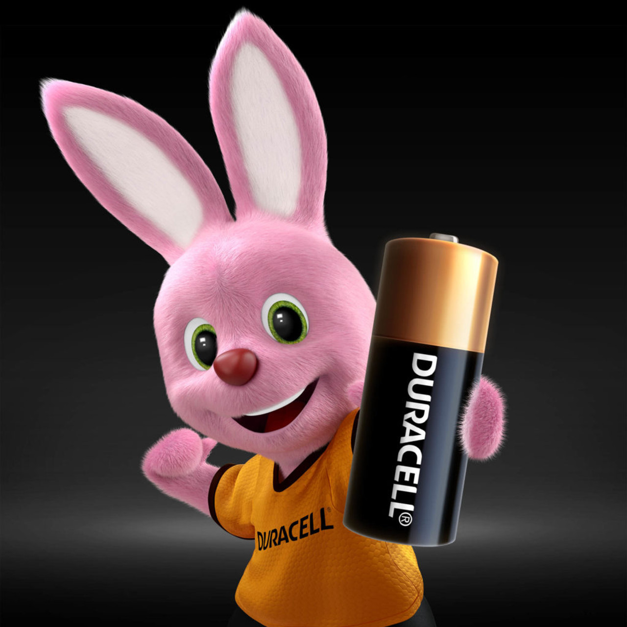 Duracell MN21 12v Alkaline A23a